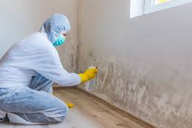 Best Comprehensive Air Testing for Mold Contaminants  in Long Beach, CA